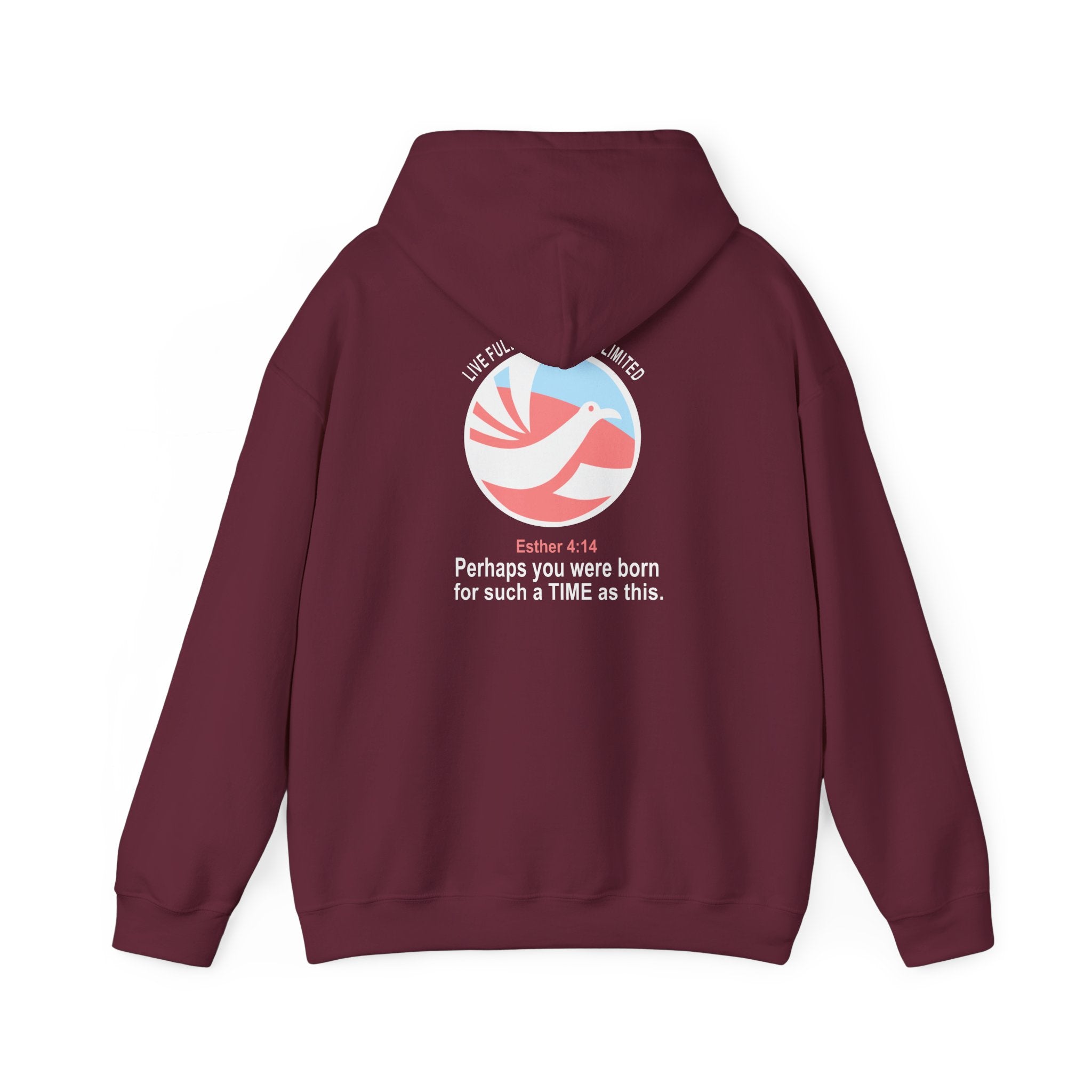 Live Full Die Empty Unlimited Hoodie