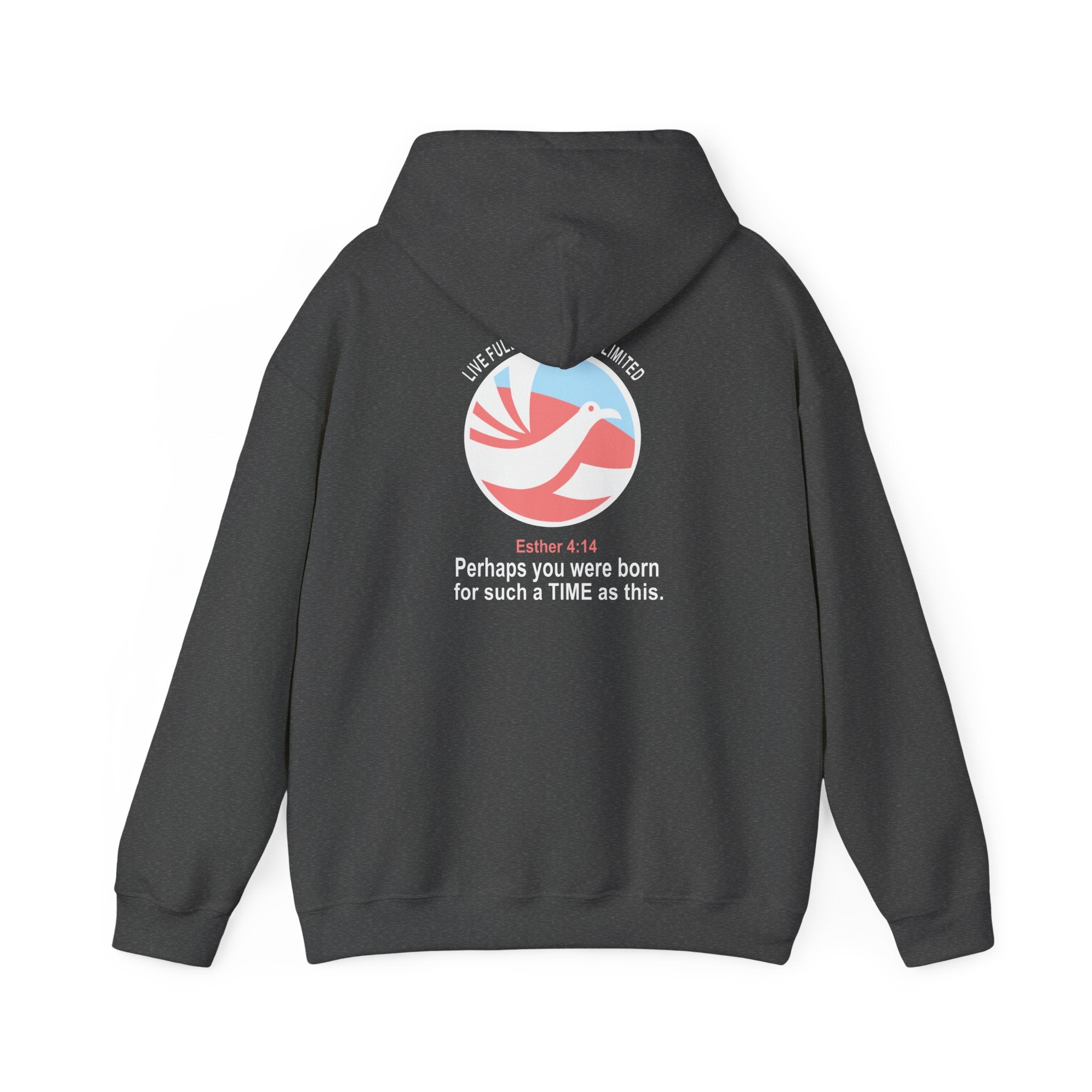Live Full Die Empty Unlimited Hoodie